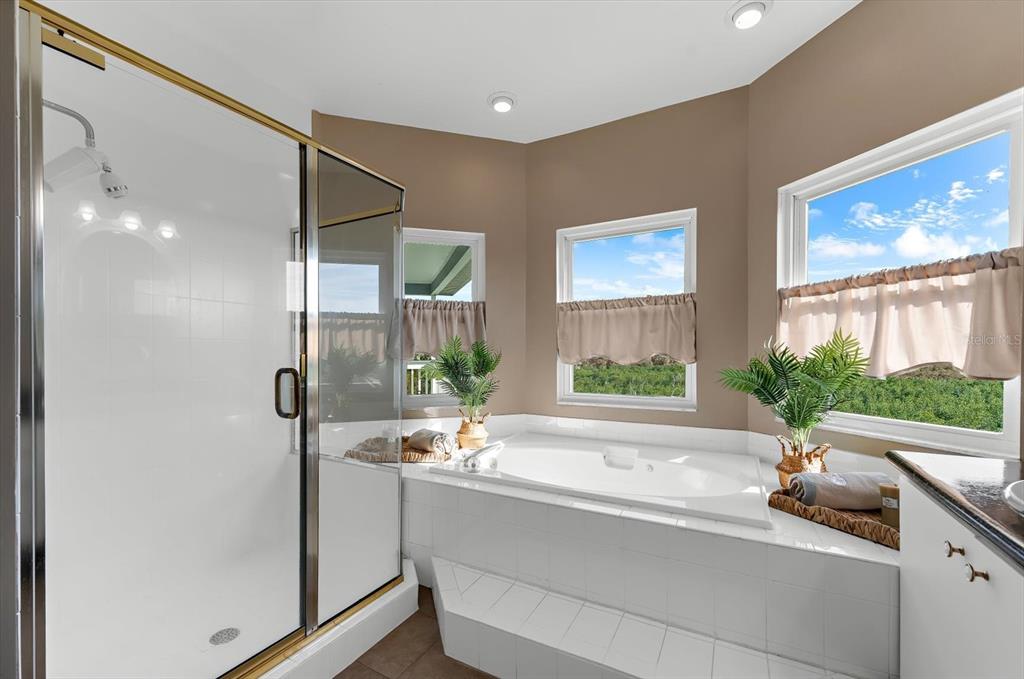 2002 Alexis Court Tarpon Springs, FL 34689 - Photo 83 of 100