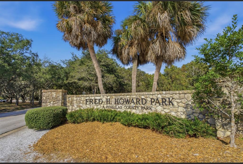 2002 Alexis Court Tarpon Springs, FL 34689 - Photo 95 of 100