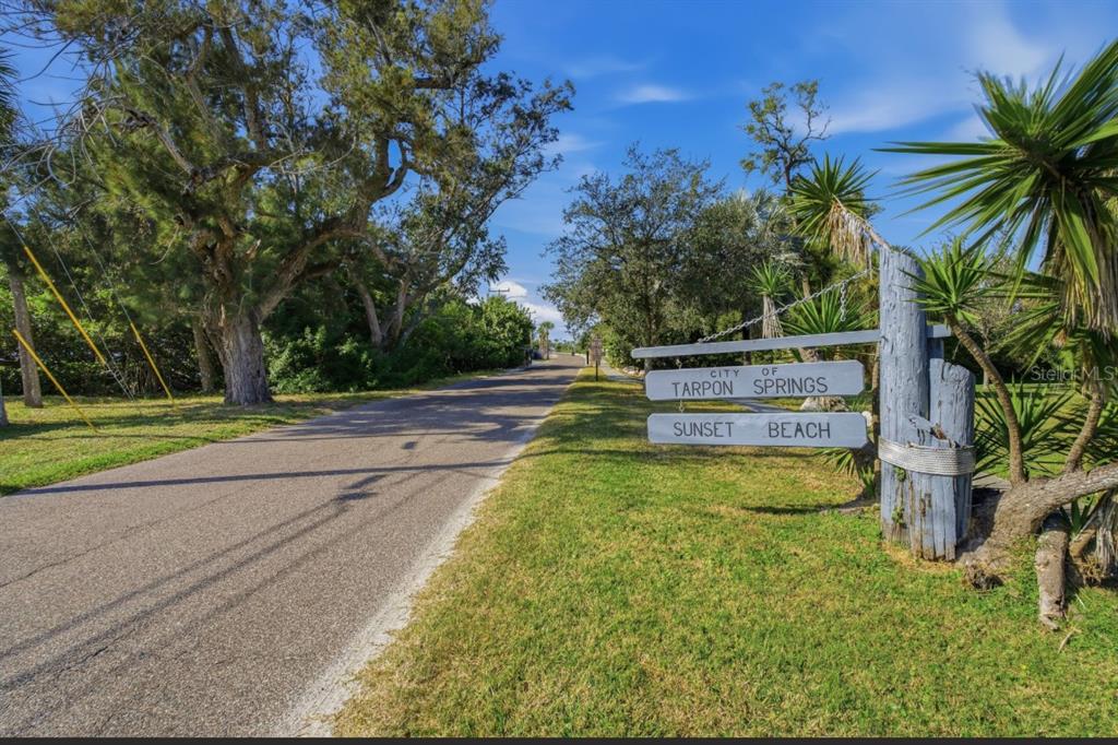 2002 Alexis Court Tarpon Springs, FL 34689 - Photo 97 of 100