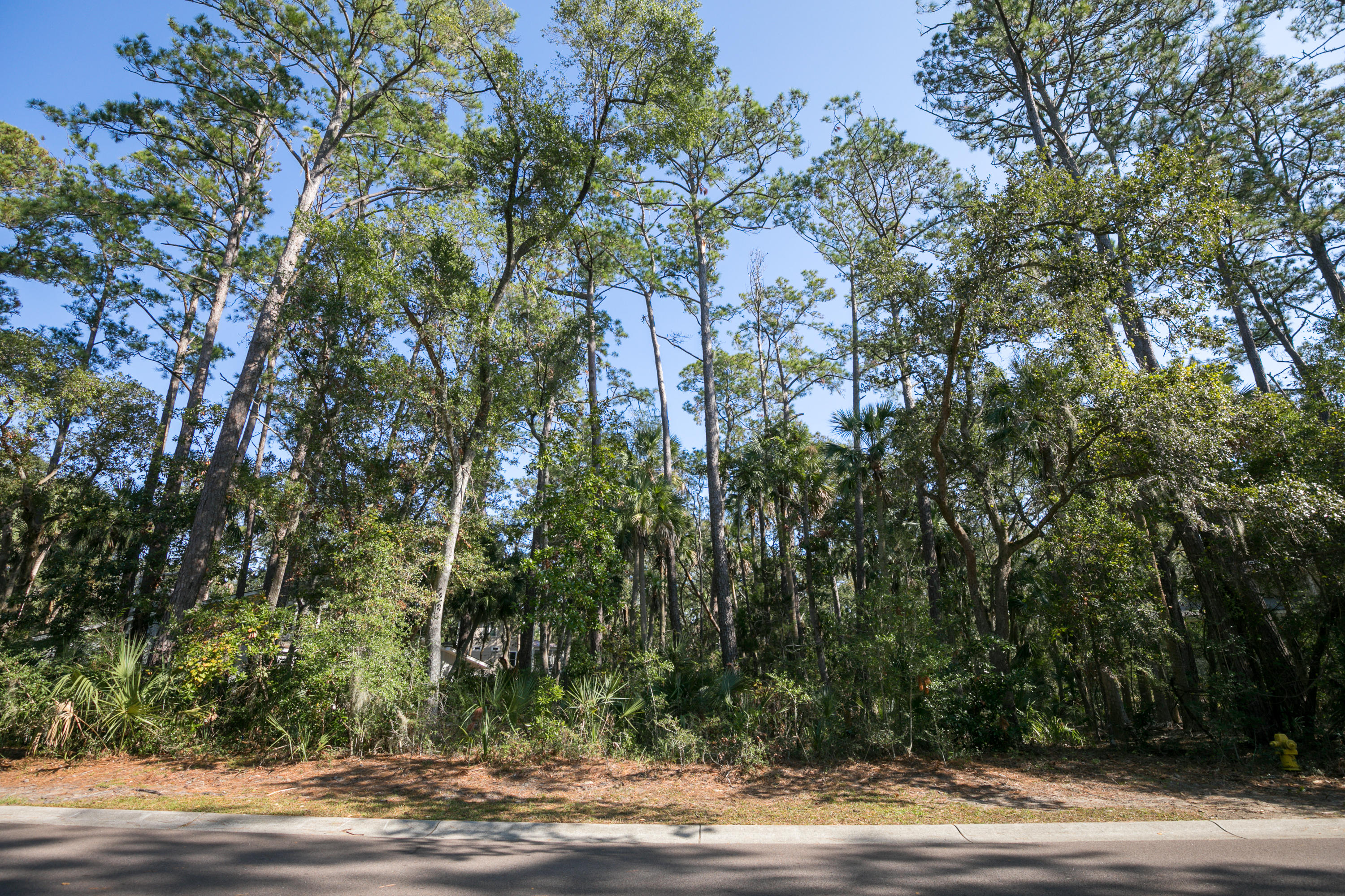 3262 Seabrook Island Road Seabrook Island, SC 29455 - Photo 11 of 27 3262 Seabrook Island Rd