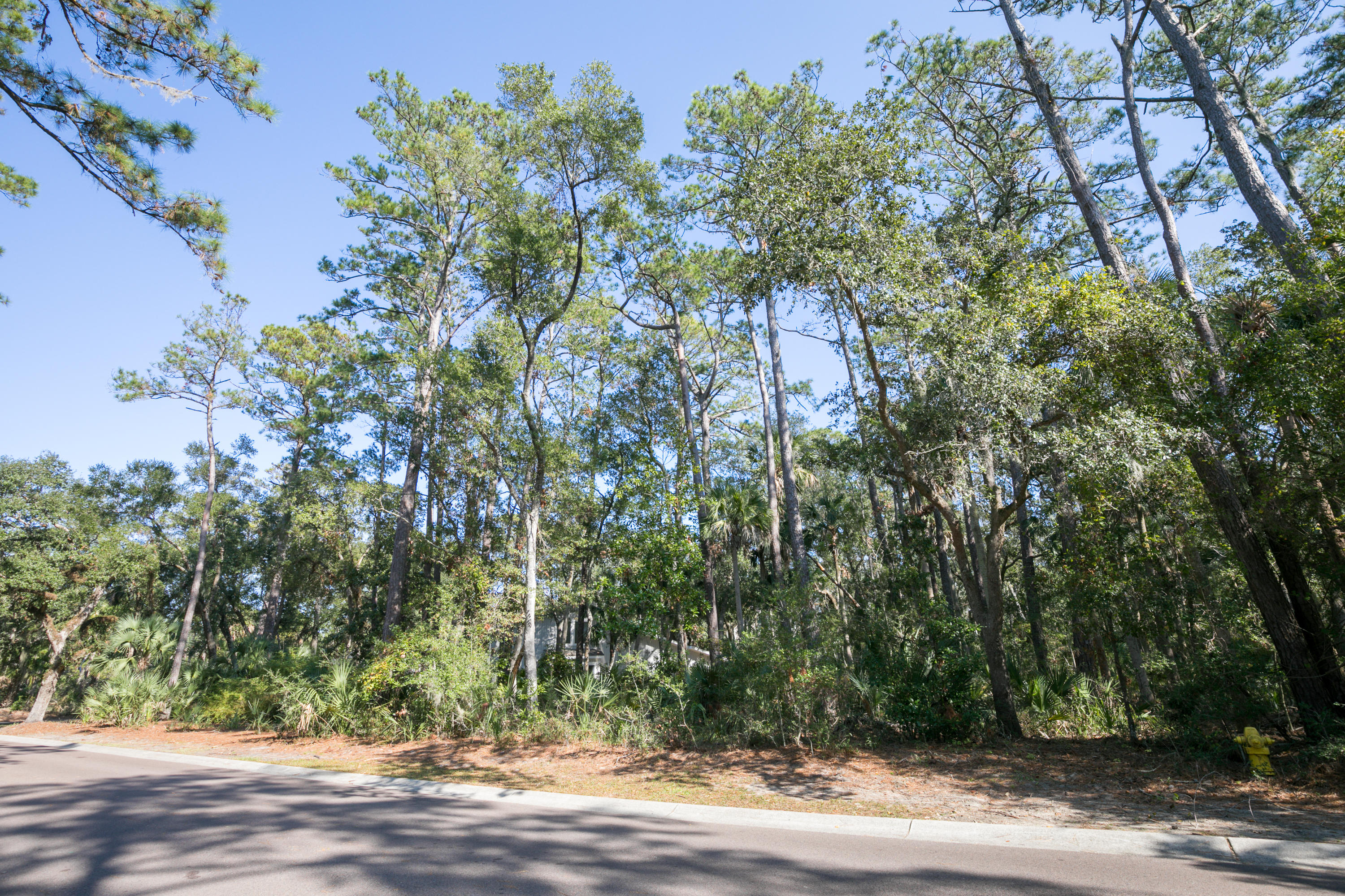 3262 Seabrook Island Road Seabrook Island, SC 29455 - Photo 12 of 27 3262 Seabrook Island Rd