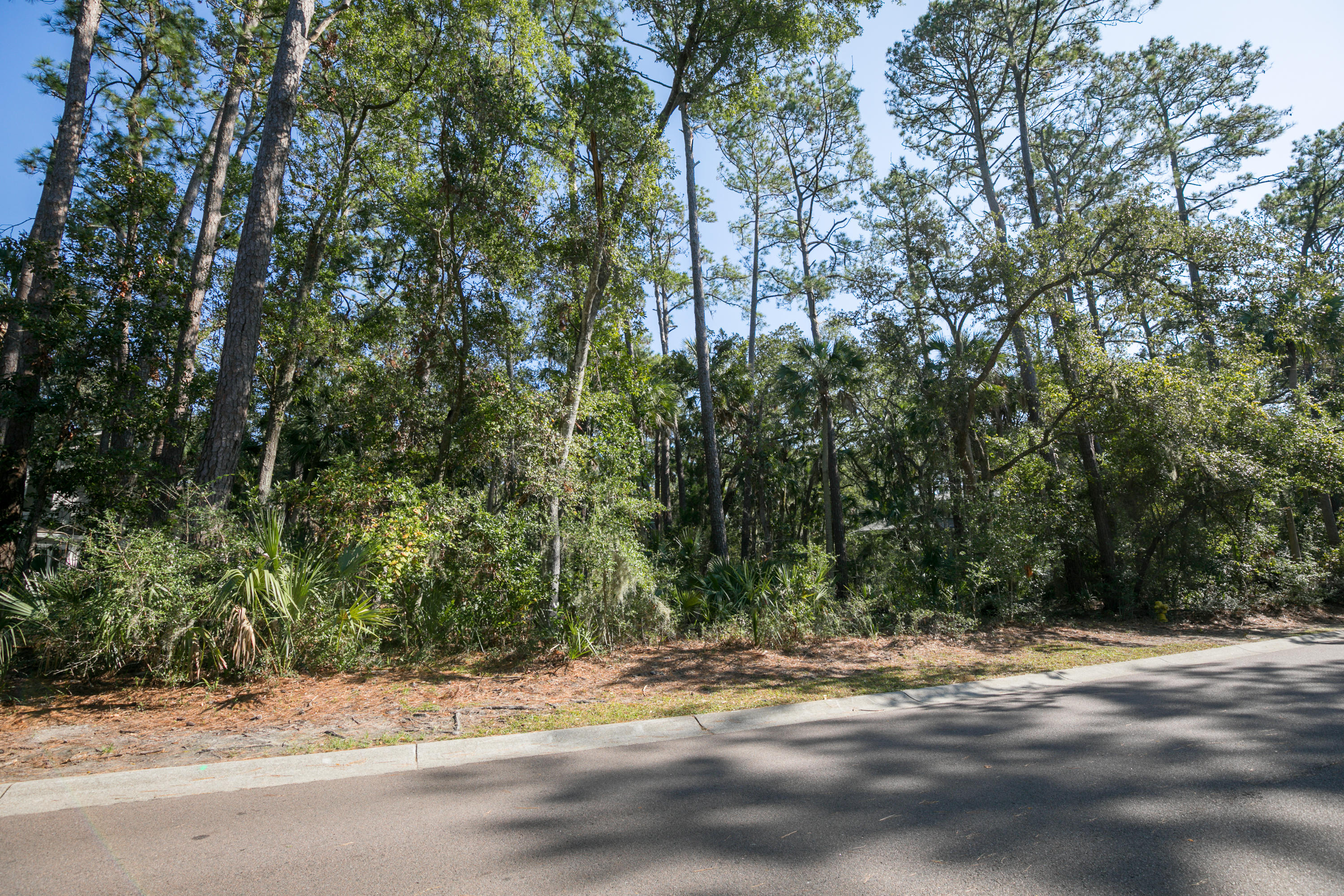 3262 Seabrook Island Road Seabrook Island, SC 29455 - Photo 13 of 27 3262 Seabrook Island Rd