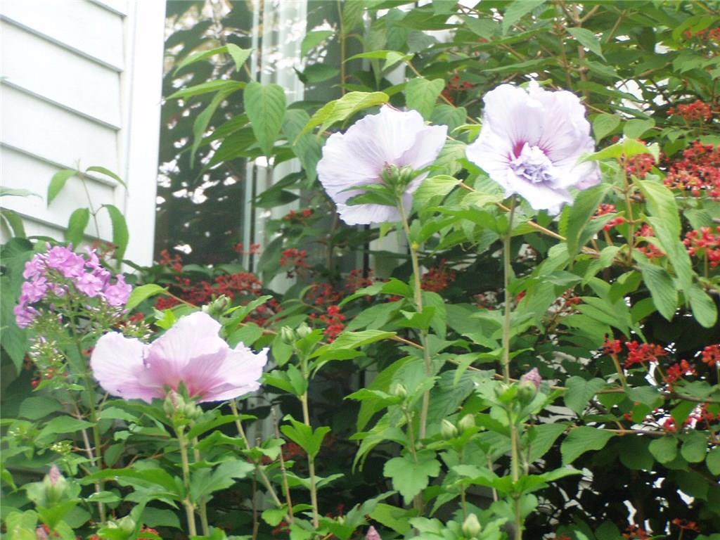 80 Guinea Road Kennebunkport, ME 04046 - Photo 26 of 27 Photo