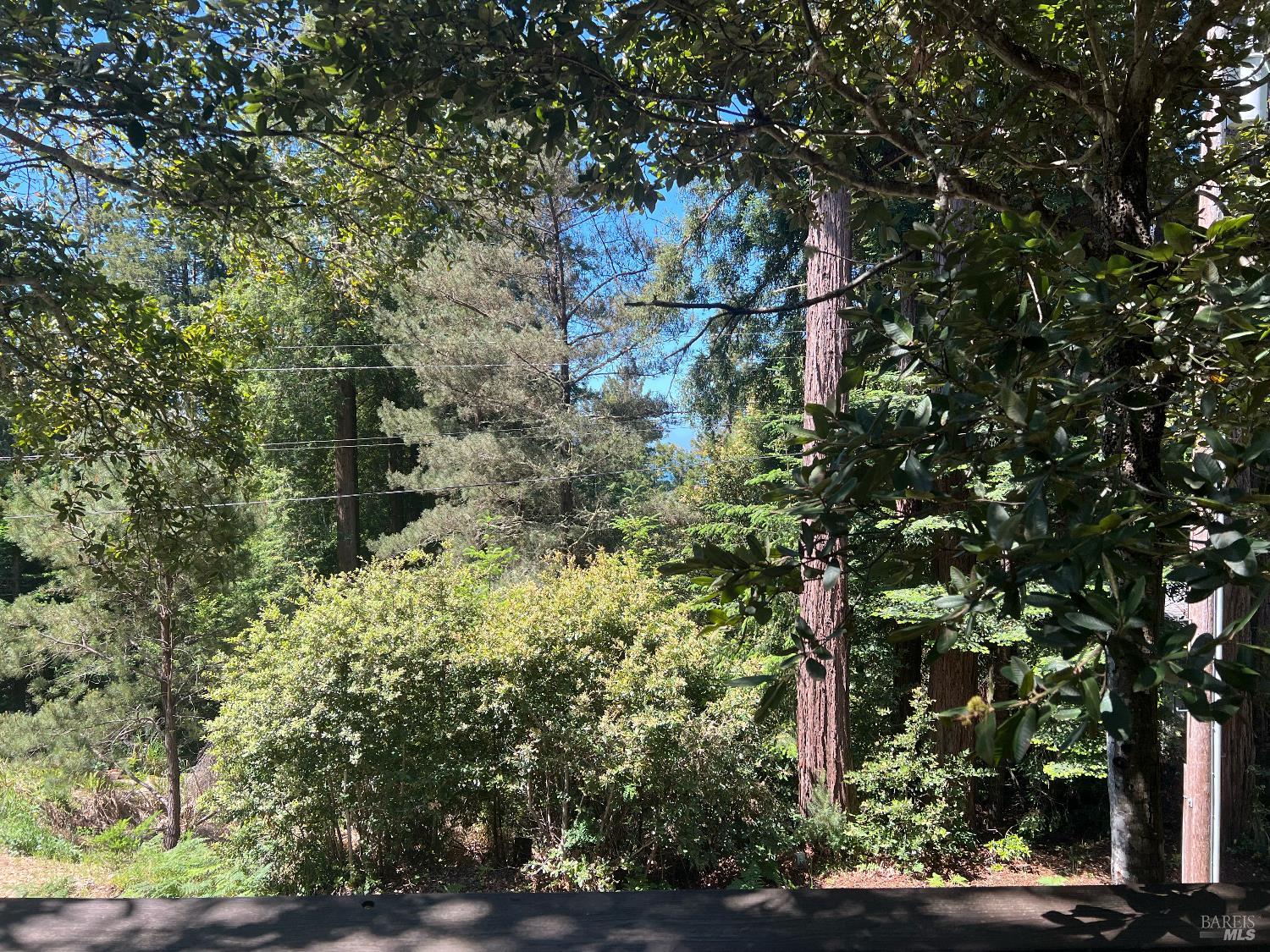 35551 Ocean View Street Gualala, CA 95445 - Photo 25 of 26 a view of a city with lush green forest