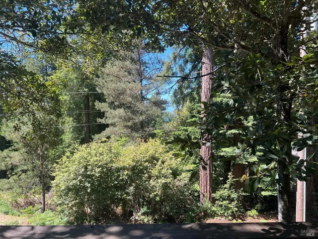a view of a city with lush green forest