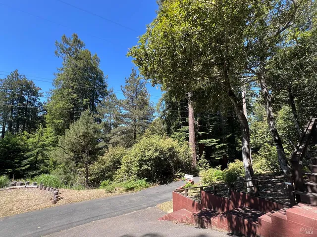 a view of a yard with plants and trees