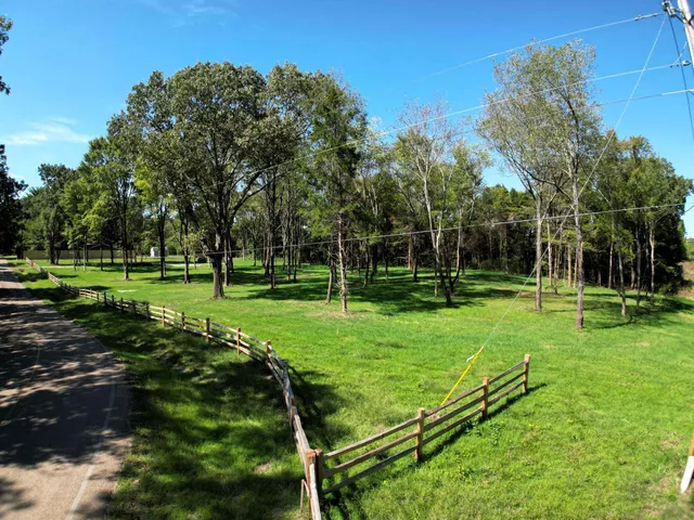 a view of a park with large trees