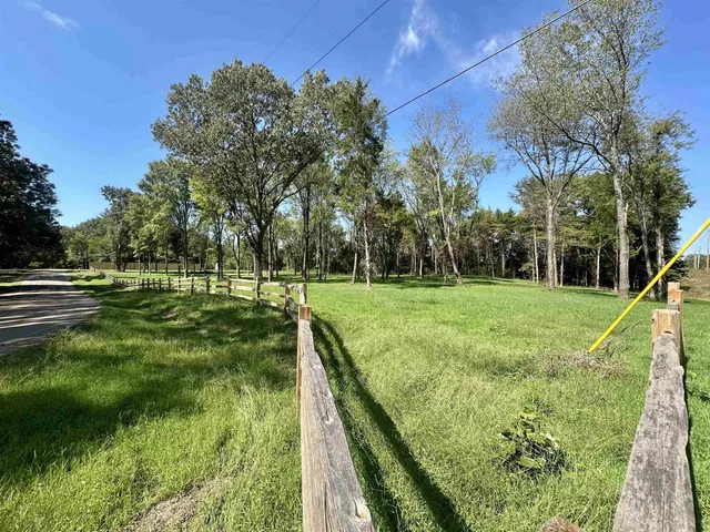 a view of a park with large trees