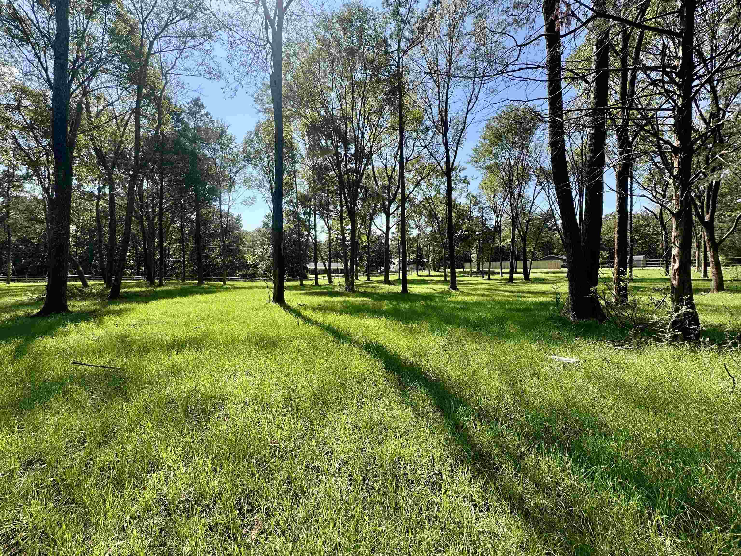 1 Dogwood Road Somerville, TN 38068 - Photo 4 of 7