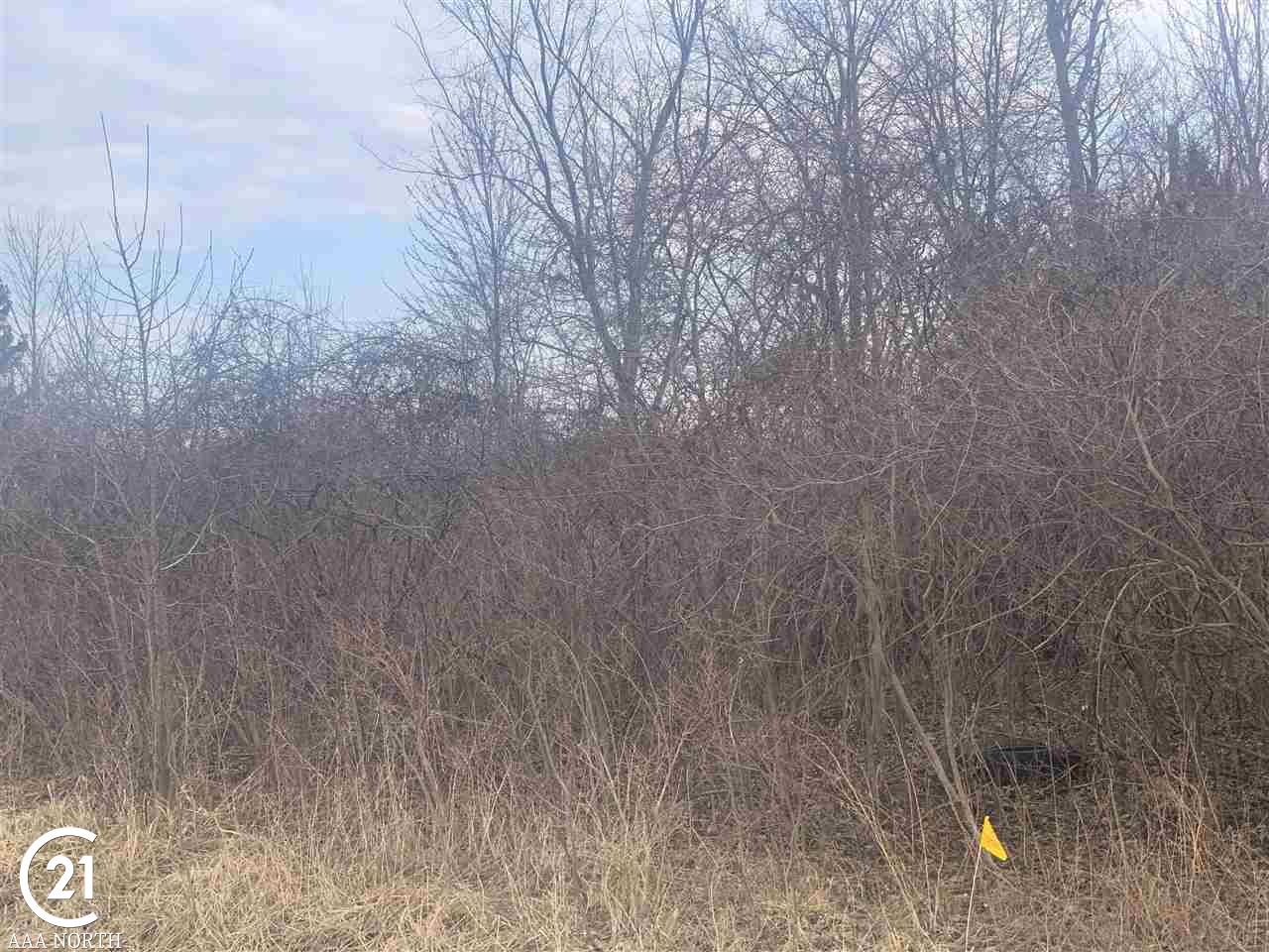 79951 Coon Creek Road Armada, MI 48005 - Photo 12 of 27 Gallery Image 12