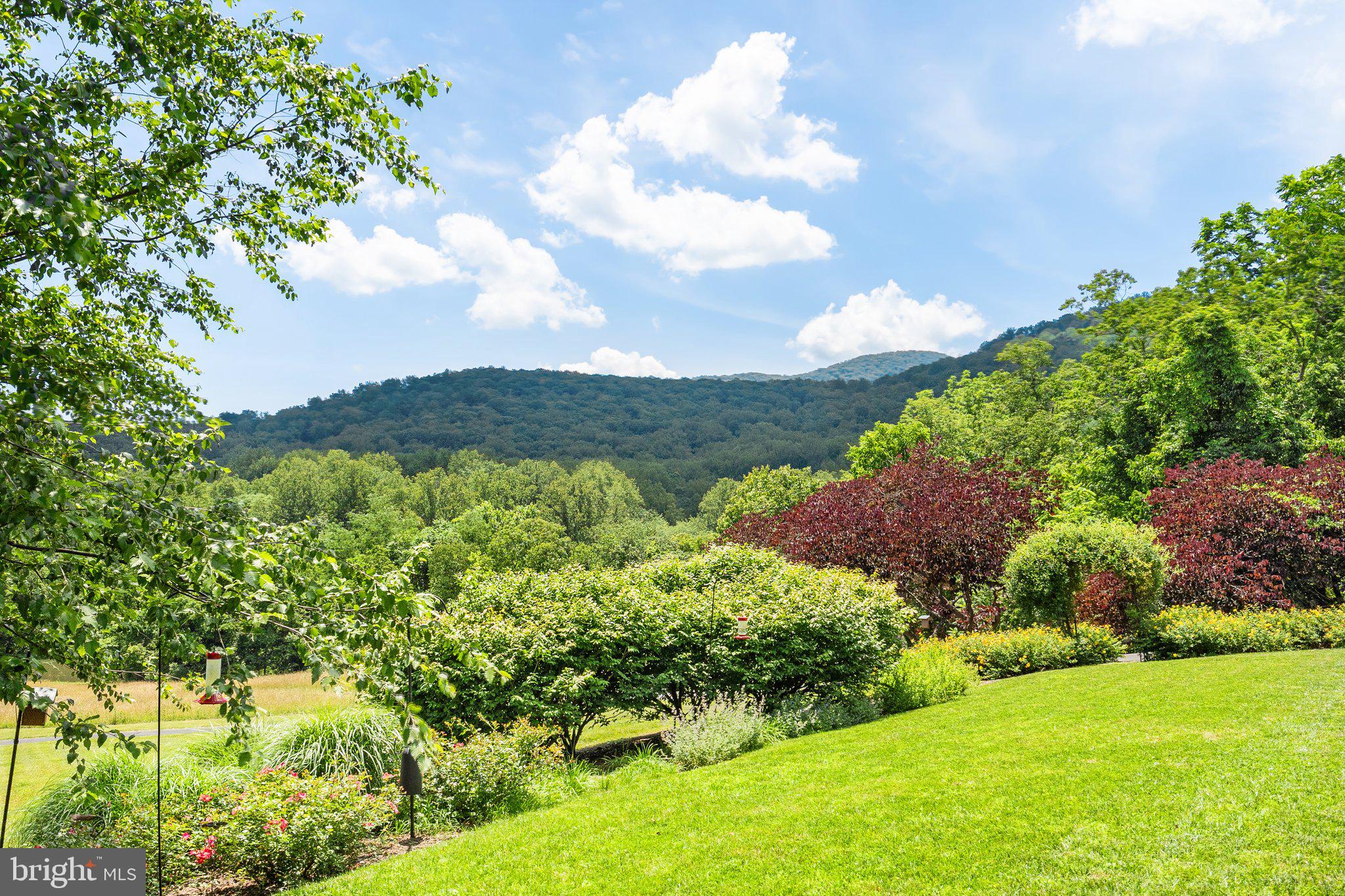 156 Bear Wallow Road Huntly, VA 22640 - Photo 57 of 68 Mature trees & plants provide year-round color