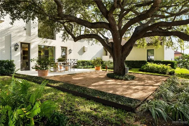 a view of a house with a tree in the yard
