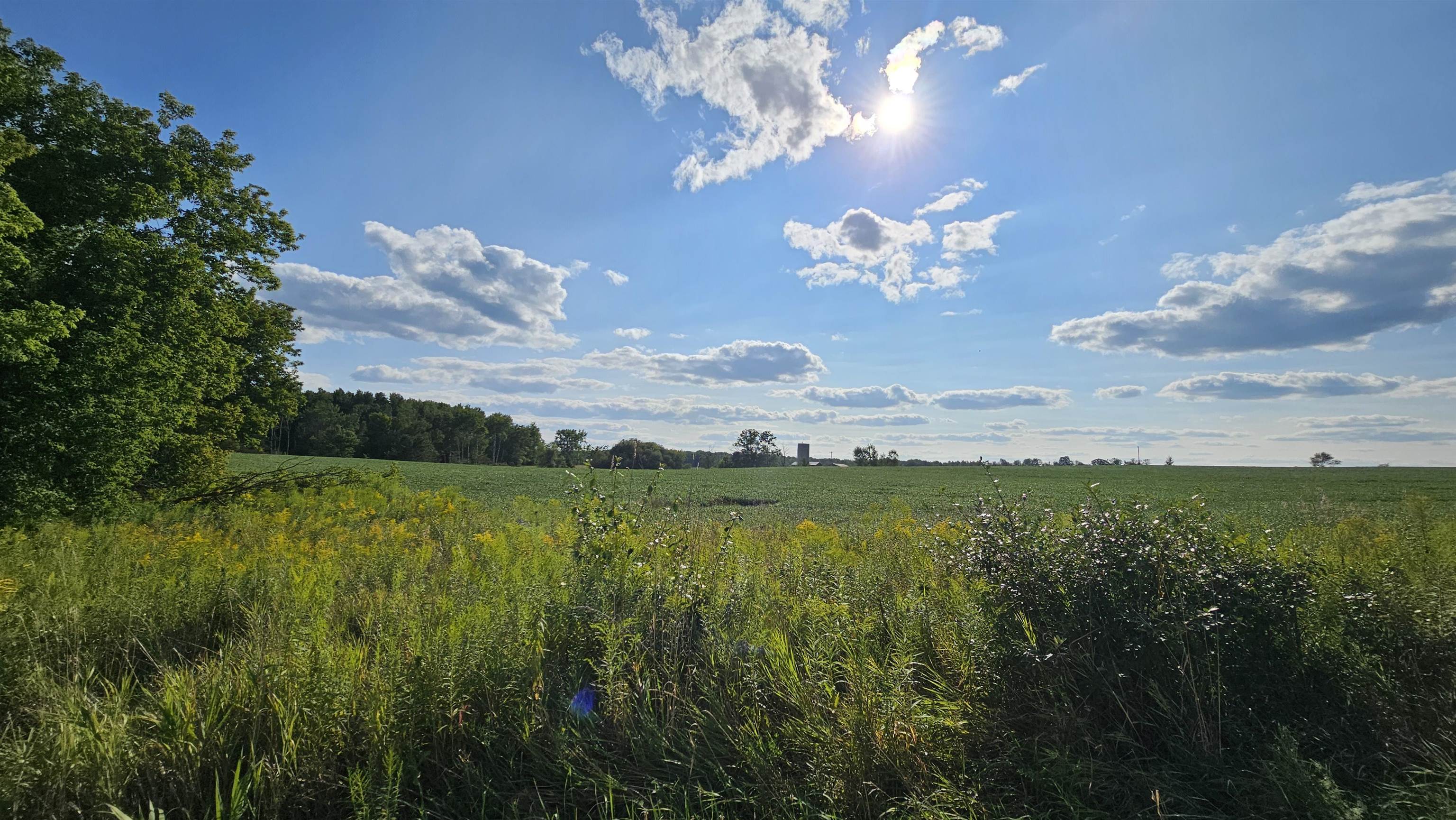 N/a N/a Maple Ridge Road, Unit ROSEBURGH Alger, MI 48610 - Photo 1 of 24