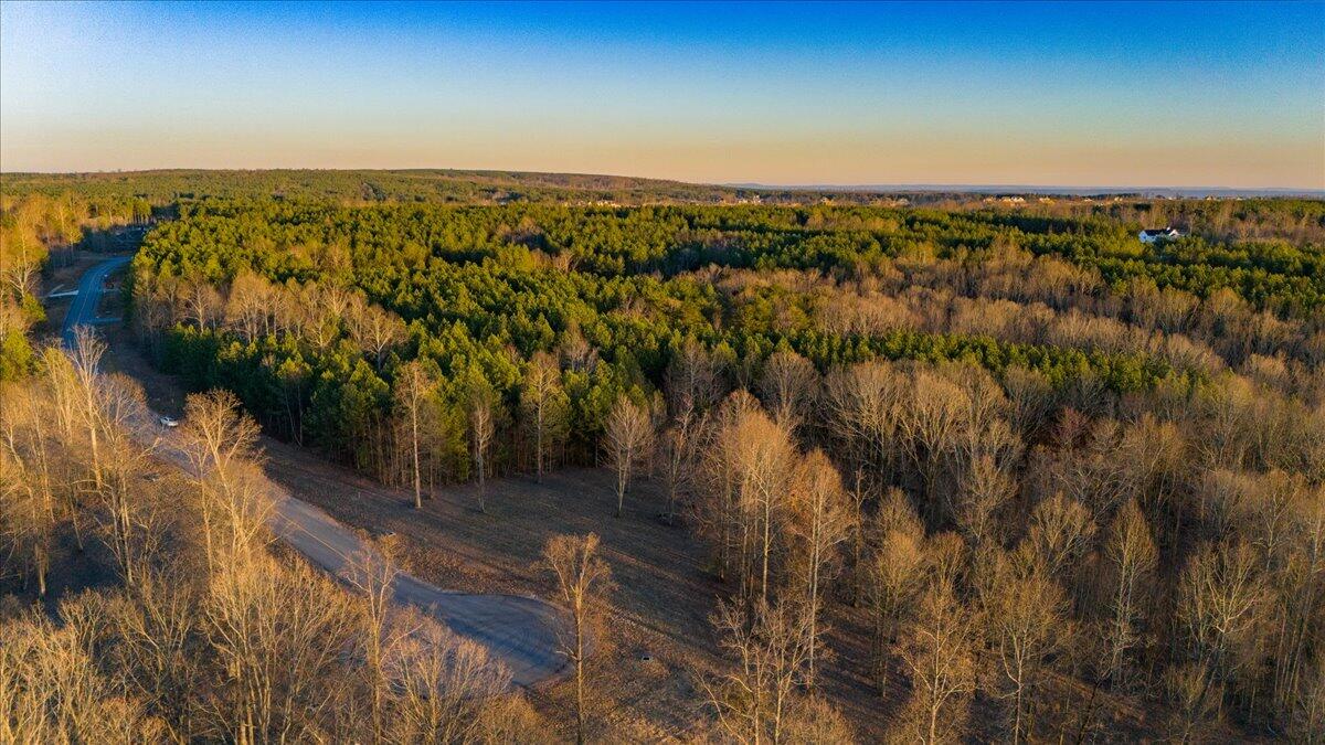0 Volunteer Street, Unit 358 Jasper, TN 37347 - Photo 13 of 17 12-DJI_20250303171941_0061_D-HDR