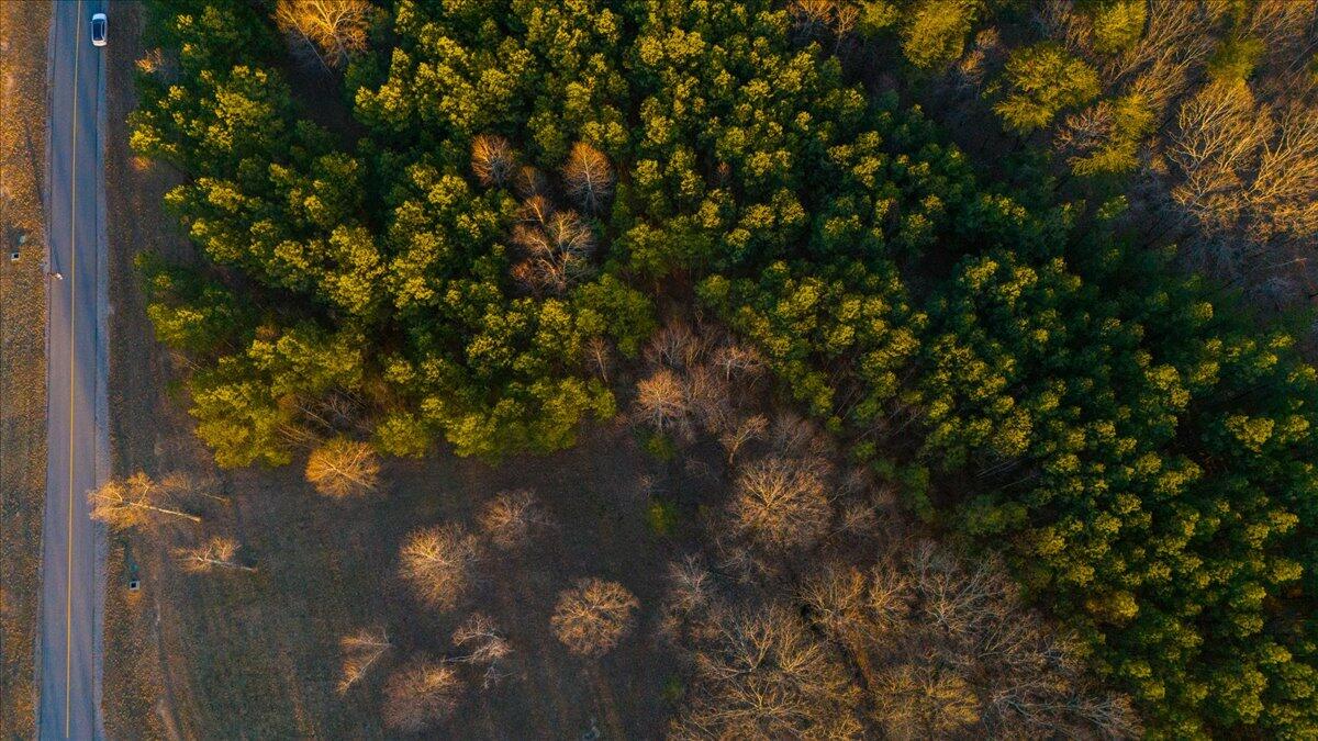 0 Volunteer Street, Unit 358 Jasper, TN 37347 - Photo 14 of 17 13-DJI_20250303172013_0064_D-HDR