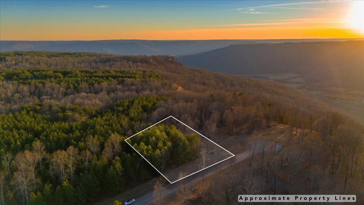 0 Volunteer Street, Unit 358 Jasper, TN 37347 - Photo 17 of 17 01-DJI_20250303171629_0037_D-HDR copy