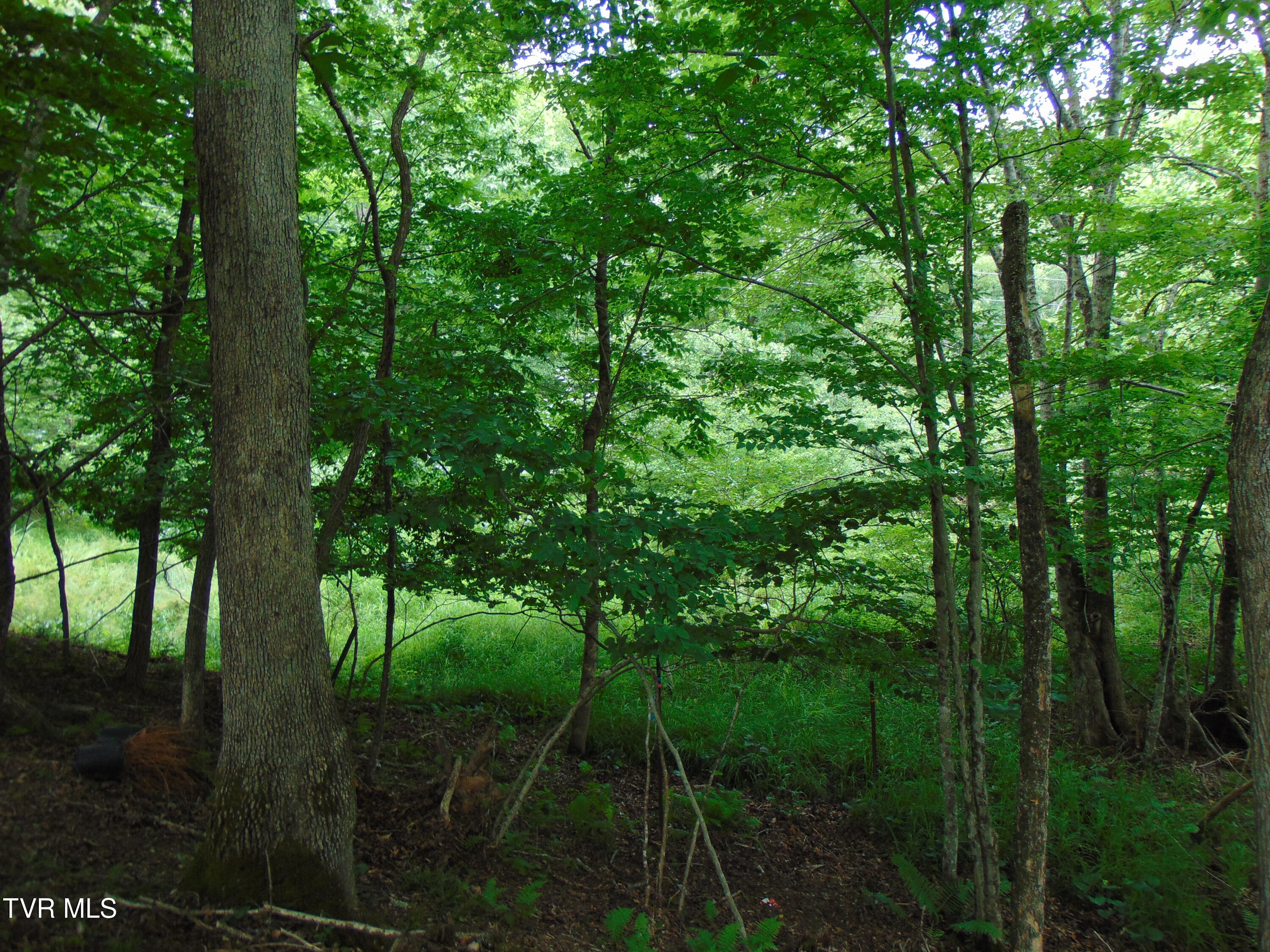 5380 Laurel Fork Road Rocky Gap, VA 24366 - Photo 65 of 69 DSC02311