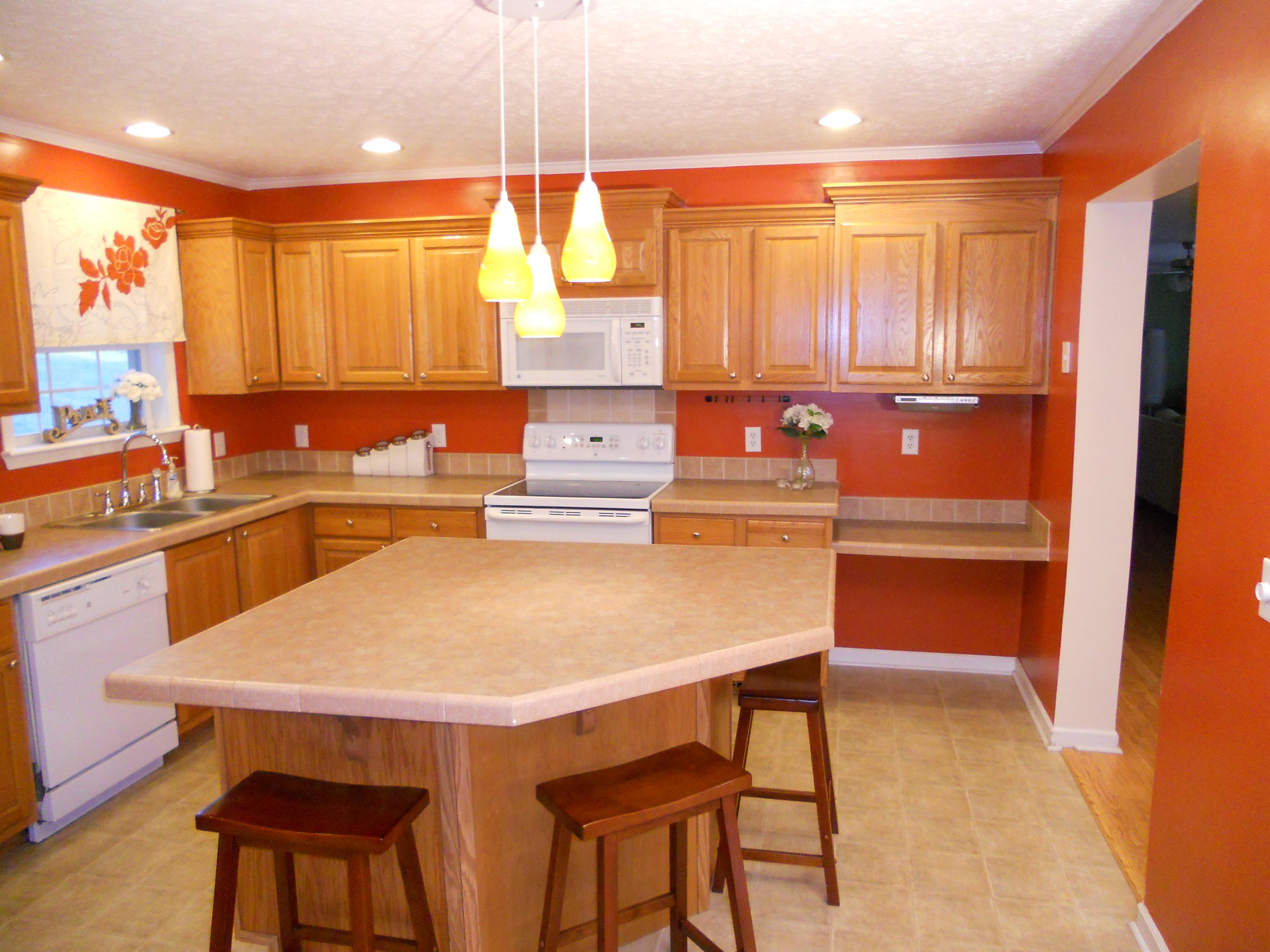1482 Fishburn Mountain Road Rocky Mount, VA 24151 - Photo 2 of 17 Kitchen