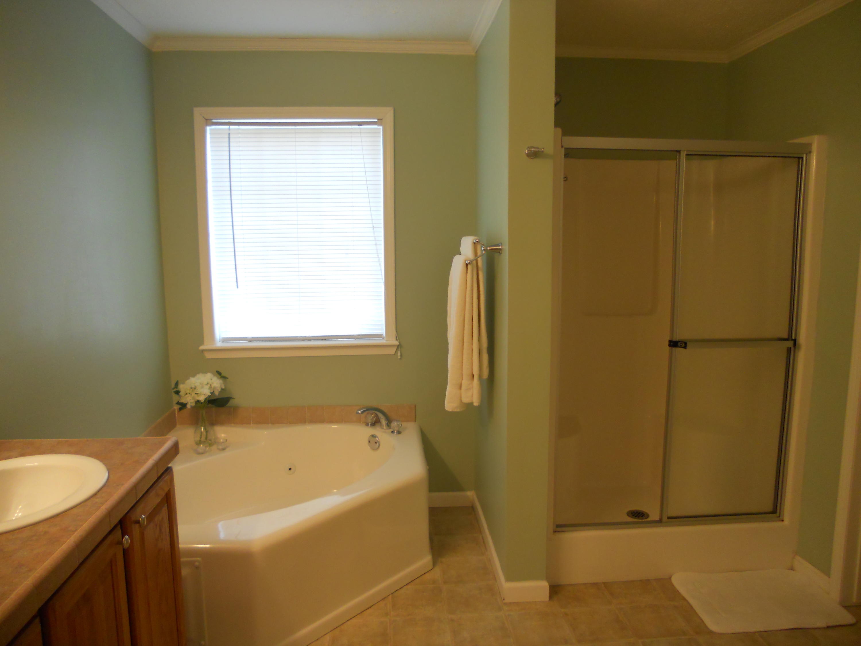 1482 Fishburn Mountain Road Rocky Mount, VA 24151 - Photo 12 of 17 Master Bath