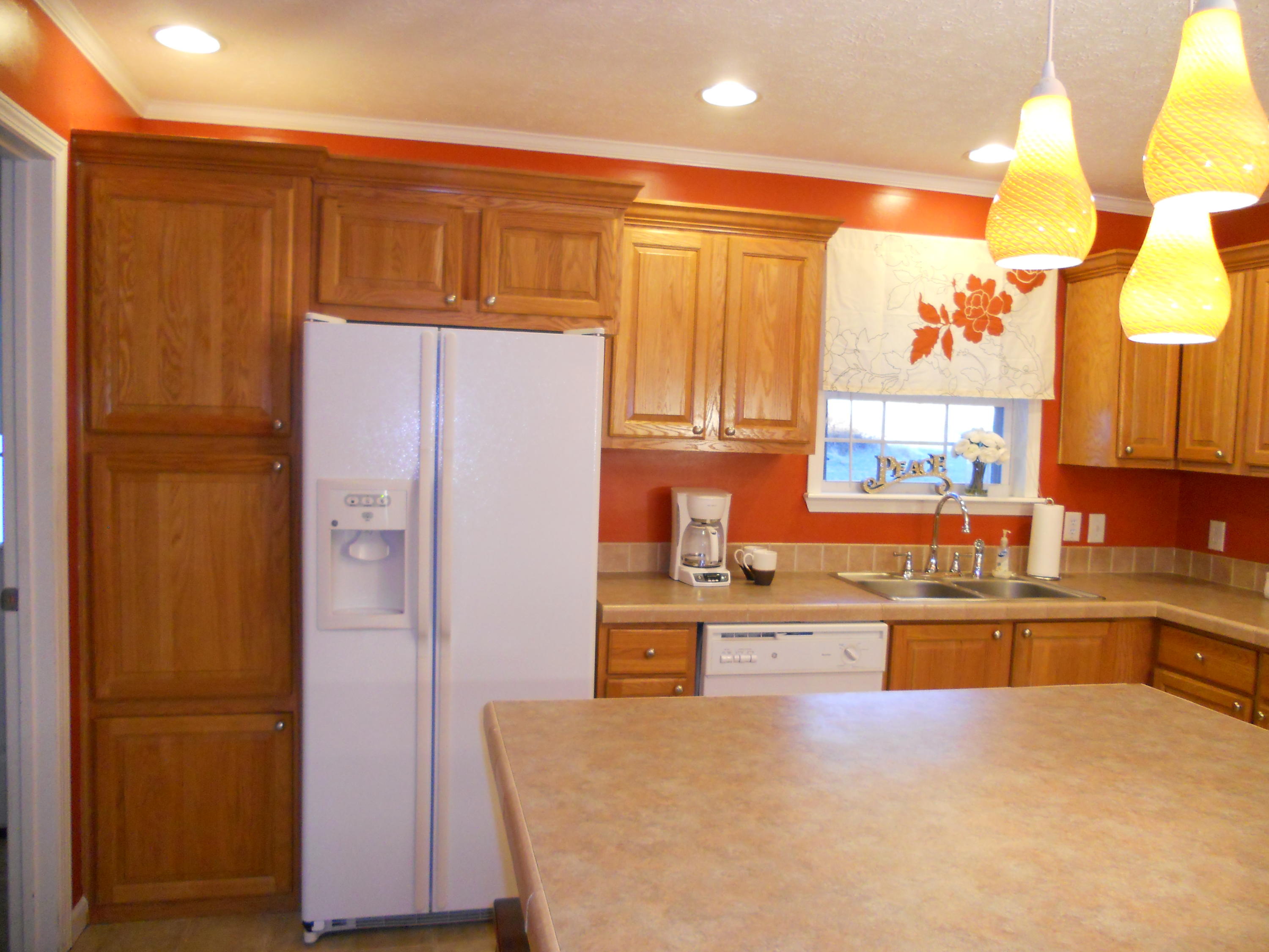 1482 Fishburn Mountain Road Rocky Mount, VA 24151 - Photo 3 of 17 Kitchen