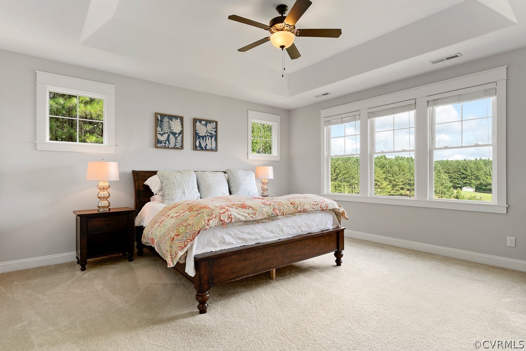 3812 Millmount Drive Powhatan, VA 23139 - Photo 25 of 48 a bedroom with a bed and window