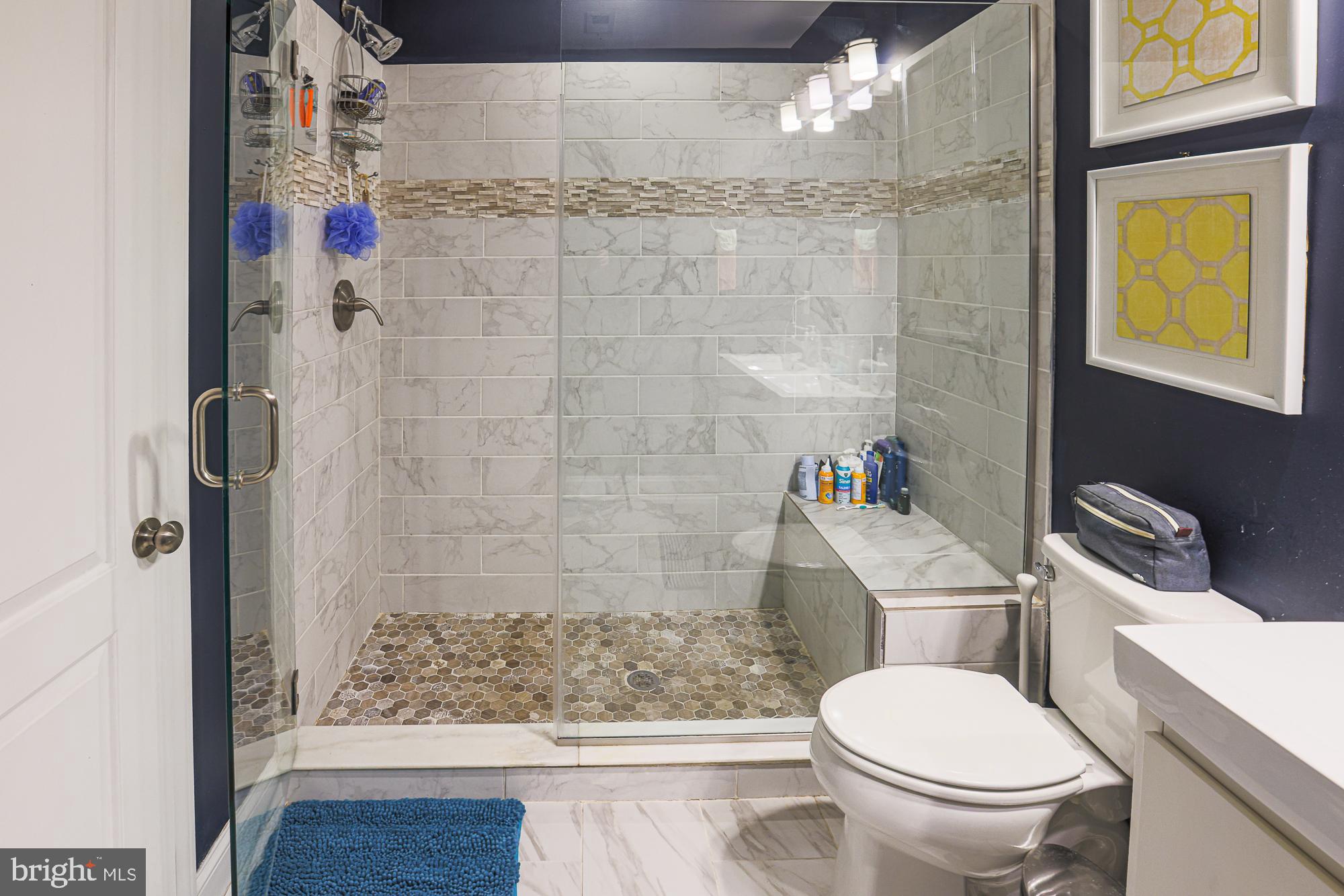 1446 Hull Street Baltimore, MD 21230 - Photo 36 of 54 a bathroom with a toilet and a shower