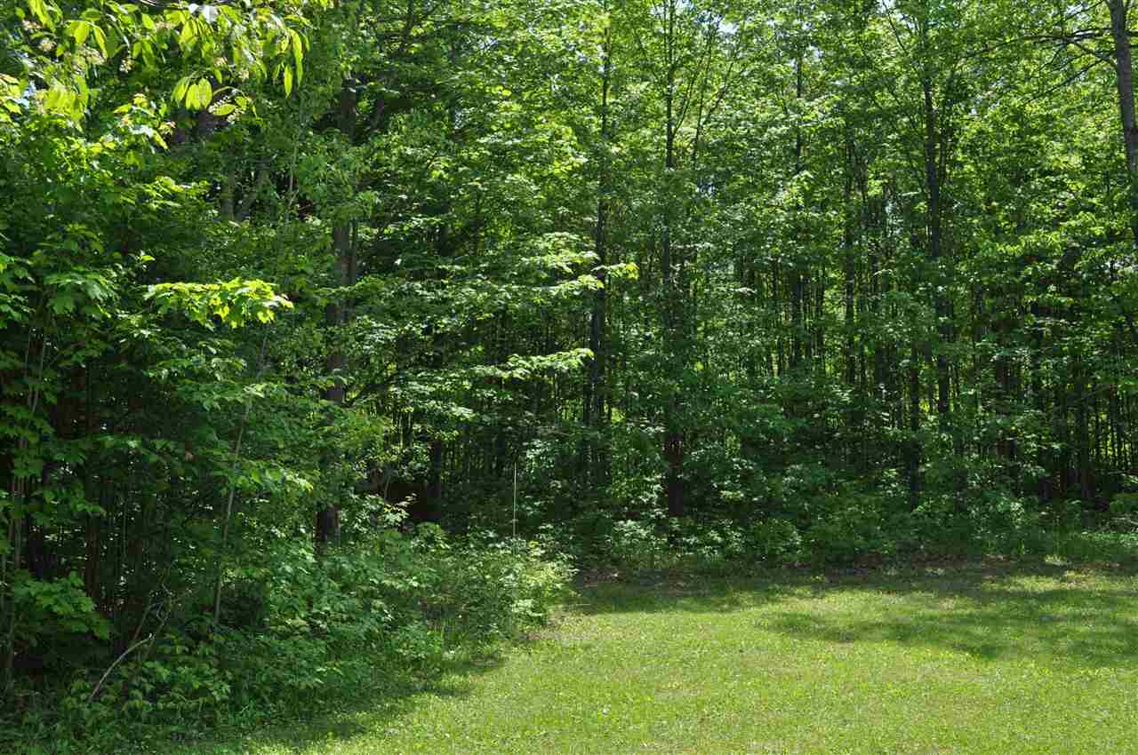 9209 Barnhart Road Mancelona, MI 49659 - Photo 28 of 33 1787288-27.JPG