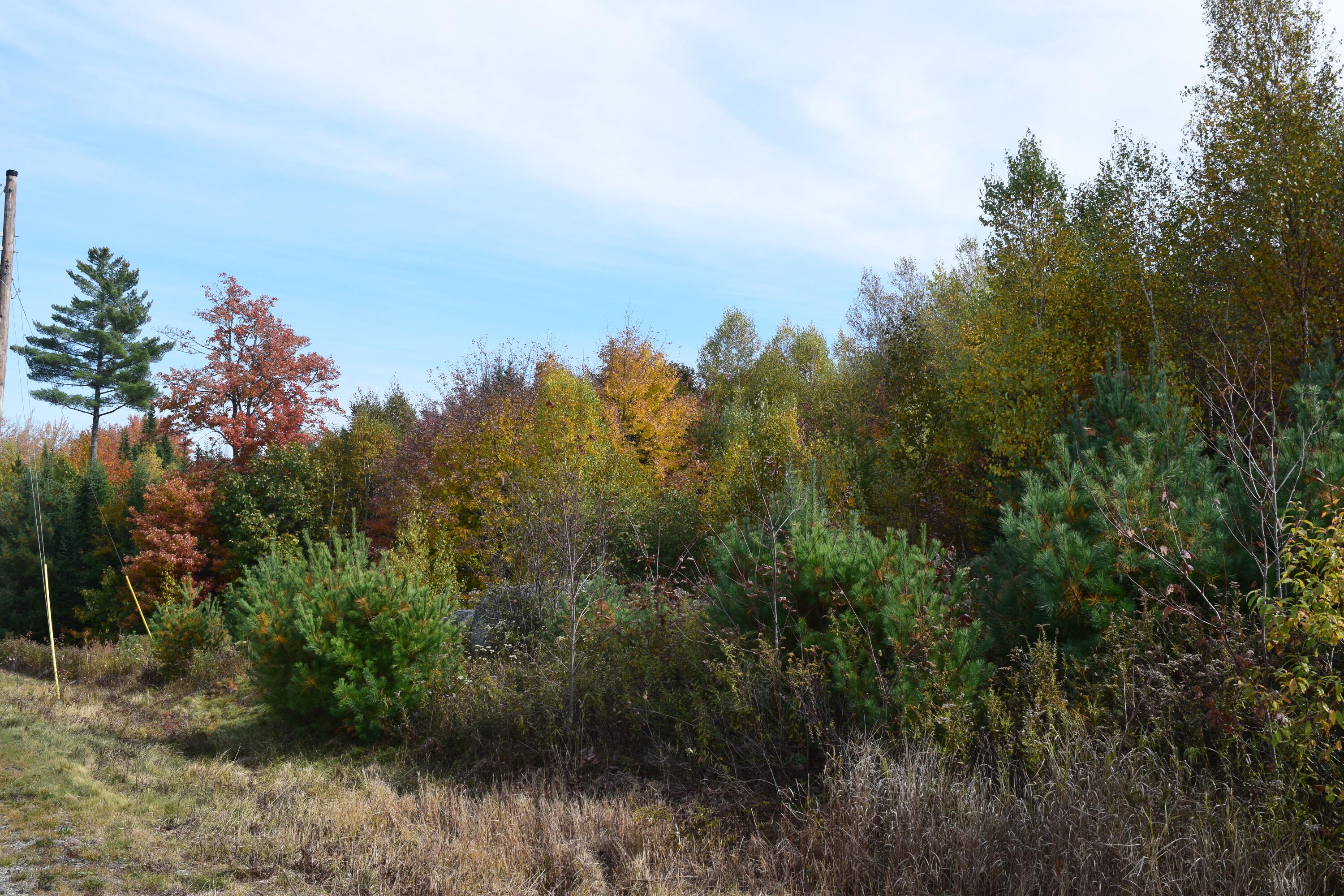 Lot 11 Surry Ridge Surry, ME 04684 - Photo 4 of 14 DSC_0529