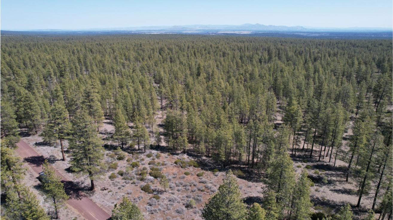 0 Southwest Grandview Loop Road Sisters, OR 97759 - Photo 19 of 35 19