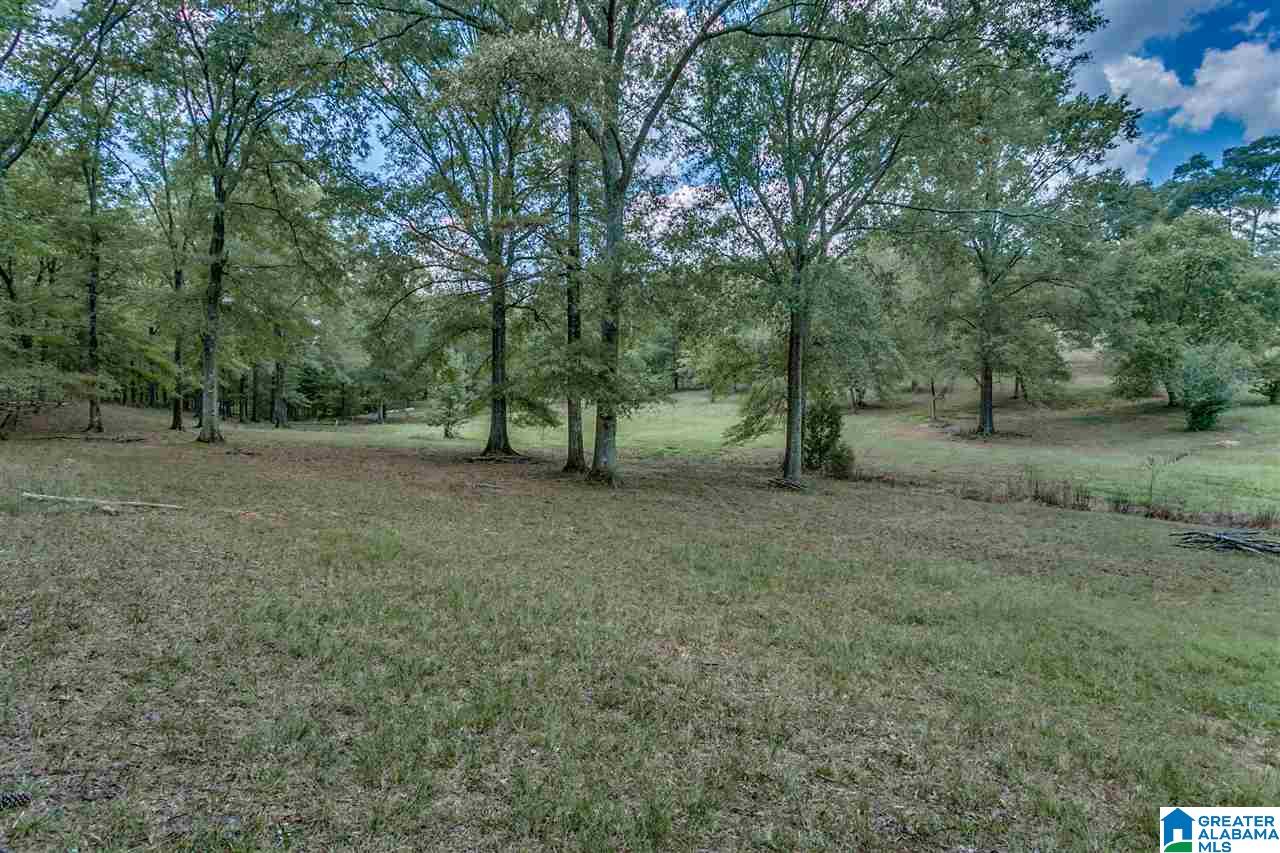 184 Jenkins Farm Road Helena, AL 35080 - Photo 15 of 25