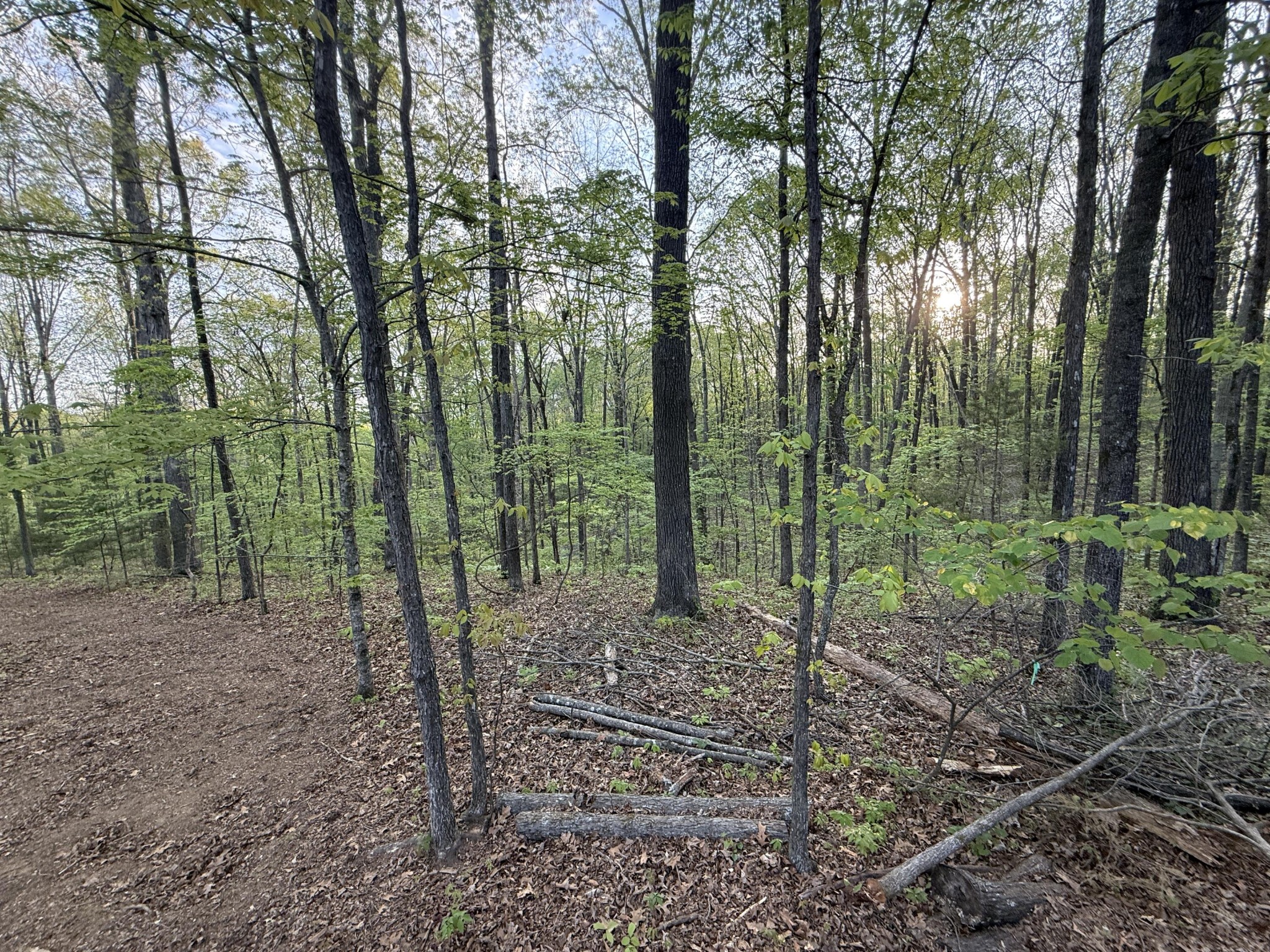 0 Sloans Gap Road Ocoee, TN 37361 - Photo 2 of 12