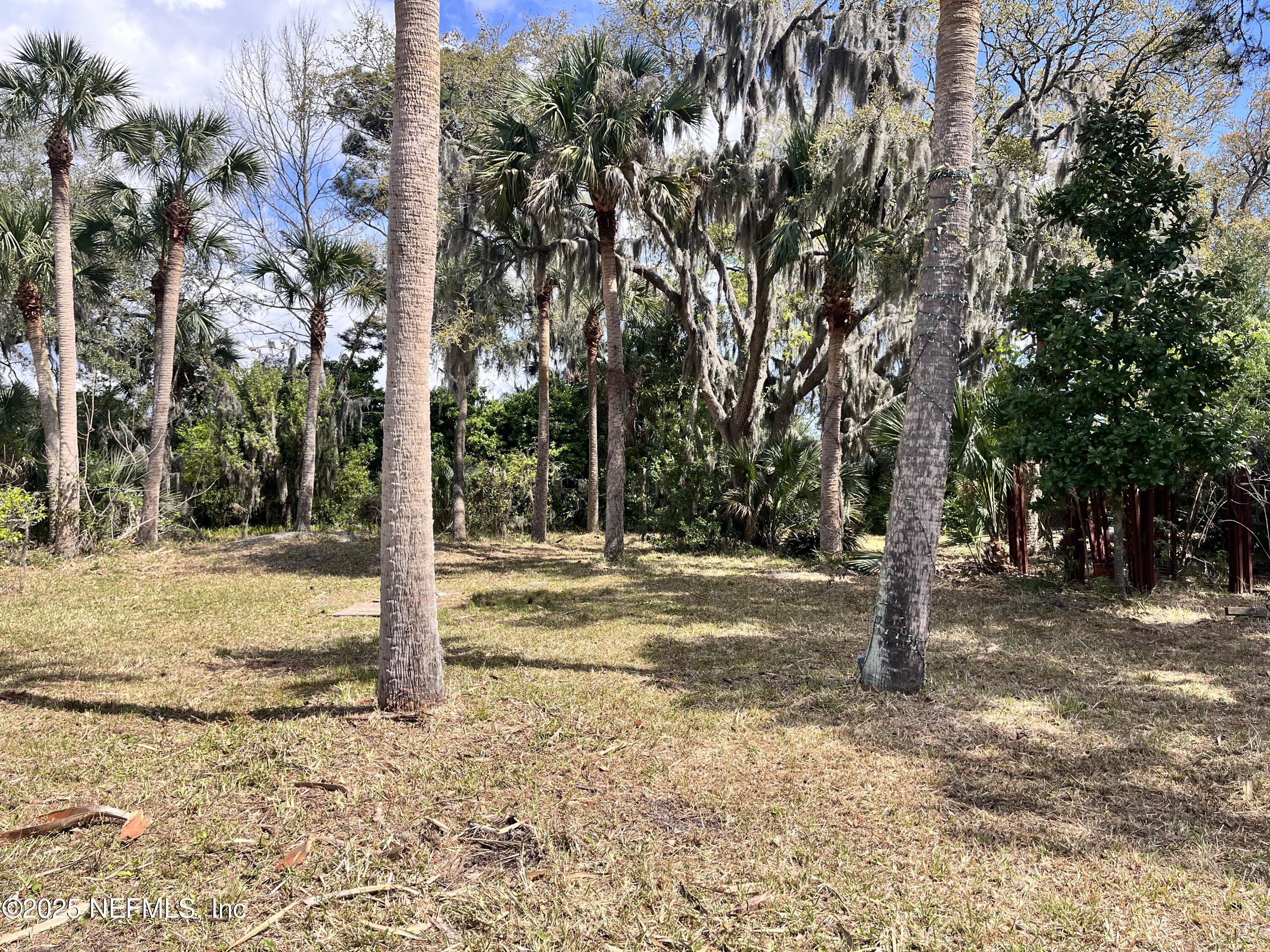 5511 Heckscher Drive Jacksonville, FL 32226 - Photo 6 of 19 a view of a road with a tree in the background