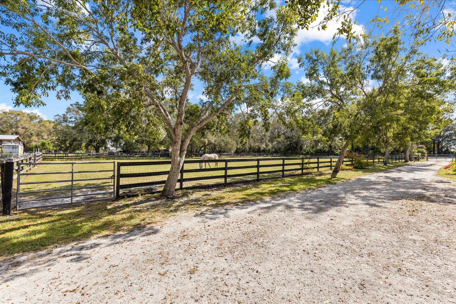 23801 Southwest Martin Highway Okeechobee, FL 34974 - Photo 13 of 85 60-53-mart in-31