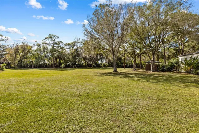 a view of a backyard