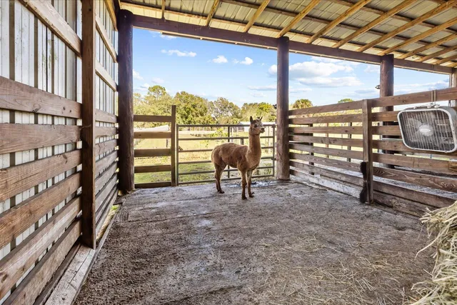a view of swimming pool with lawn chairs and wooden fence