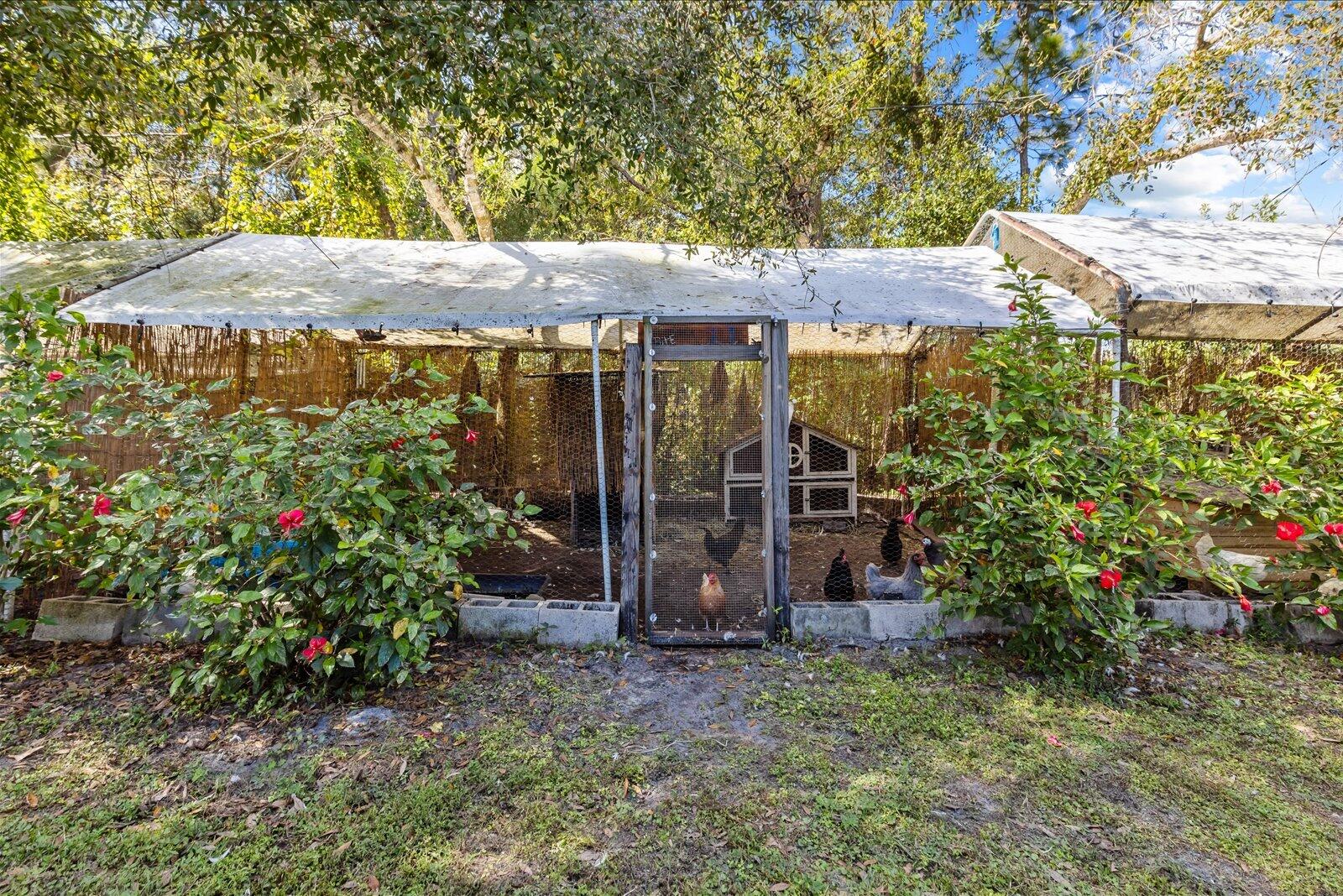 23801 Southwest Martin Highway Okeechobee, FL 34974 - Photo 35 of 85 a view of a backyard