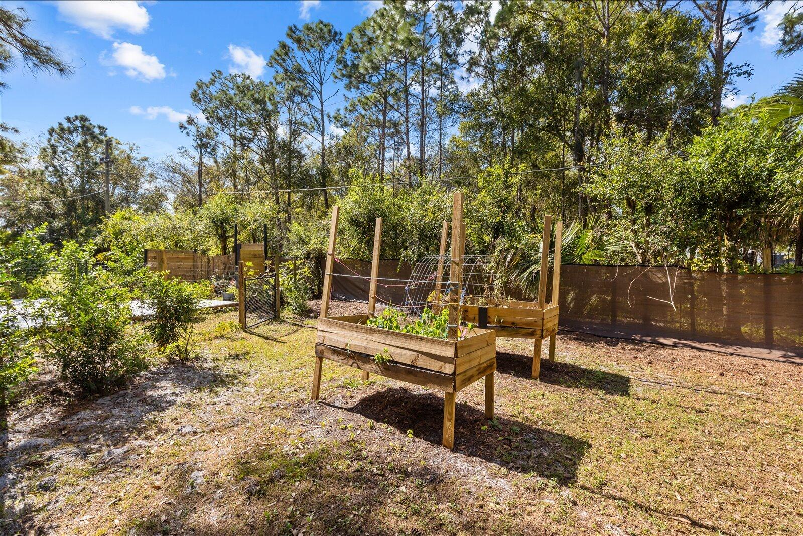 23801 Southwest Martin Highway Okeechobee, FL 34974 - Photo 9 of 85 a bench sitting in middle of a yard