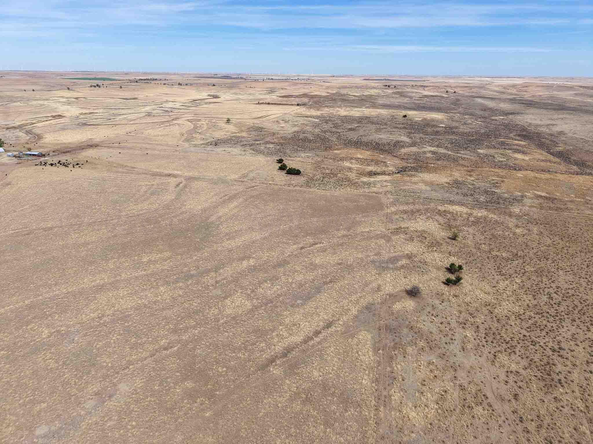 48 Big Sky Ranch Mobeetie, TX 79061 - Photo 12 of 59 Big_Sky_Ranch-13