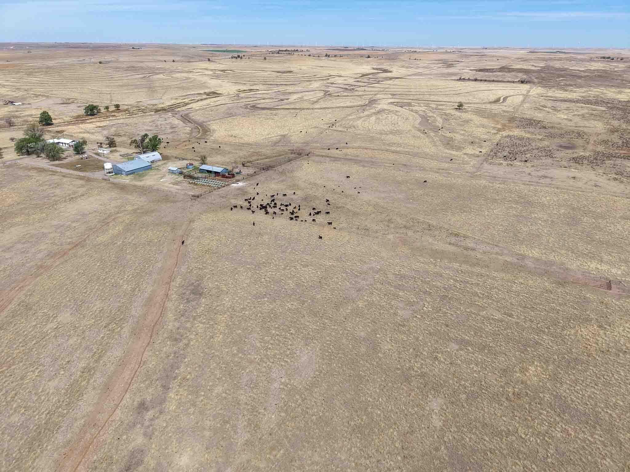 48 Big Sky Ranch Mobeetie, TX 79061 - Photo 17 of 59 Big_Sky_Ranch-18