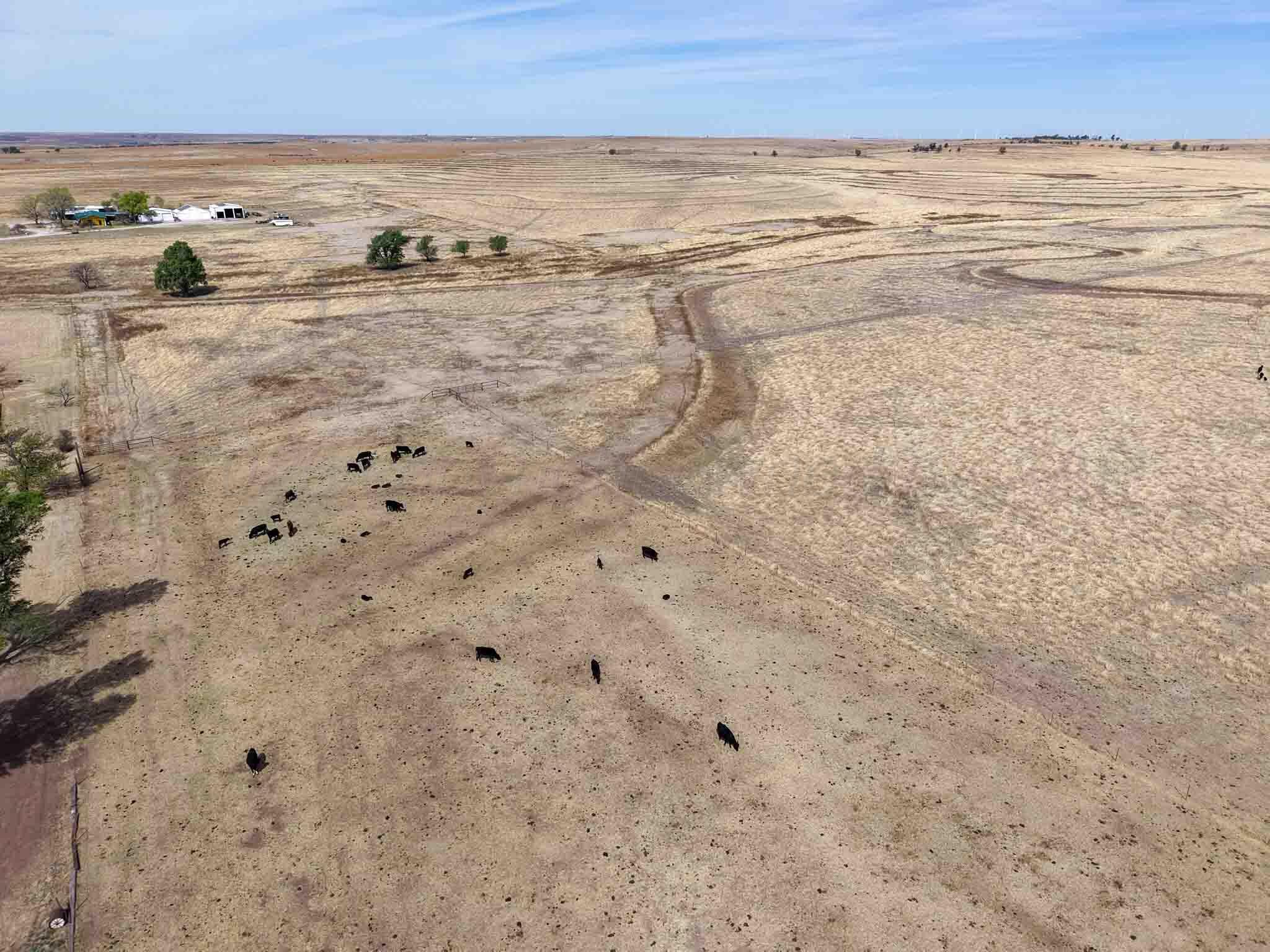 48 Big Sky Ranch Mobeetie, TX 79061 - Photo 22 of 59 Big_Sky_Ranch-23