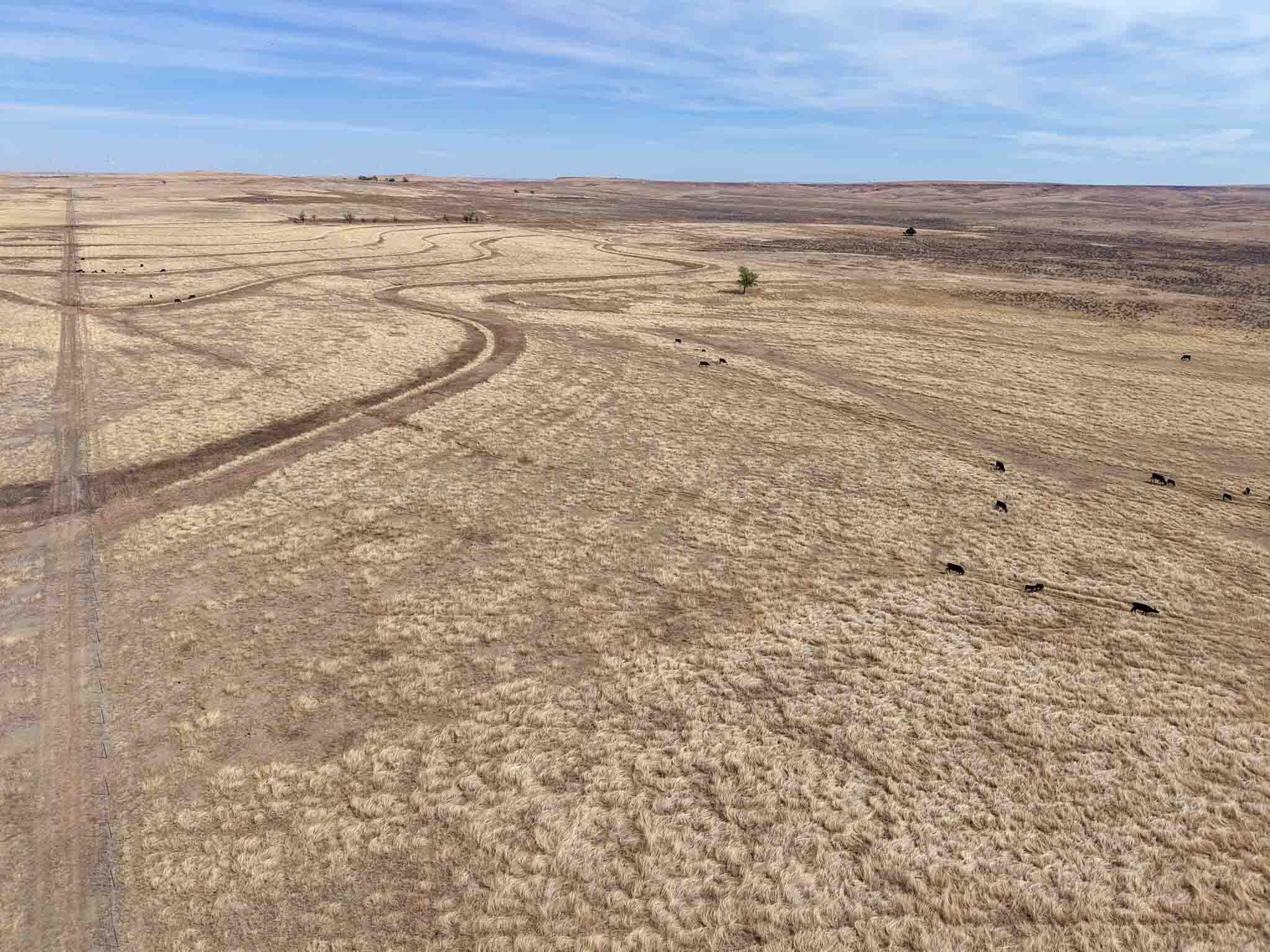 48 Big Sky Ranch Mobeetie, TX 79061 - Photo 25 of 59 Big_Sky_Ranch-26