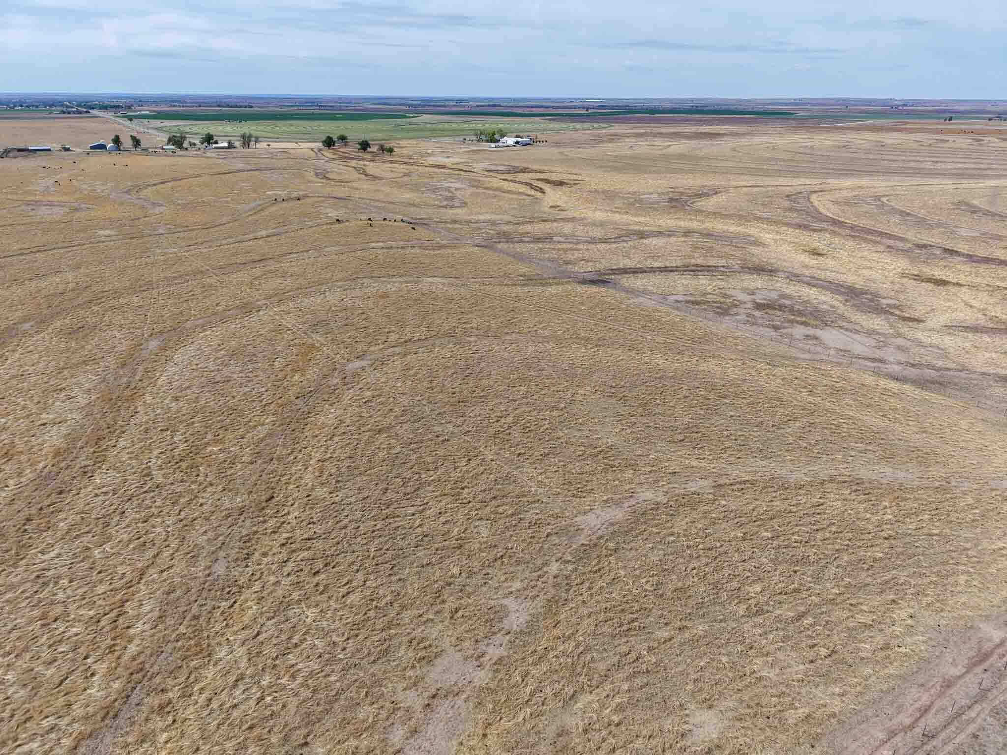 48 Big Sky Ranch Mobeetie, TX 79061 - Photo 32 of 59 Big_Sky_Ranch-33