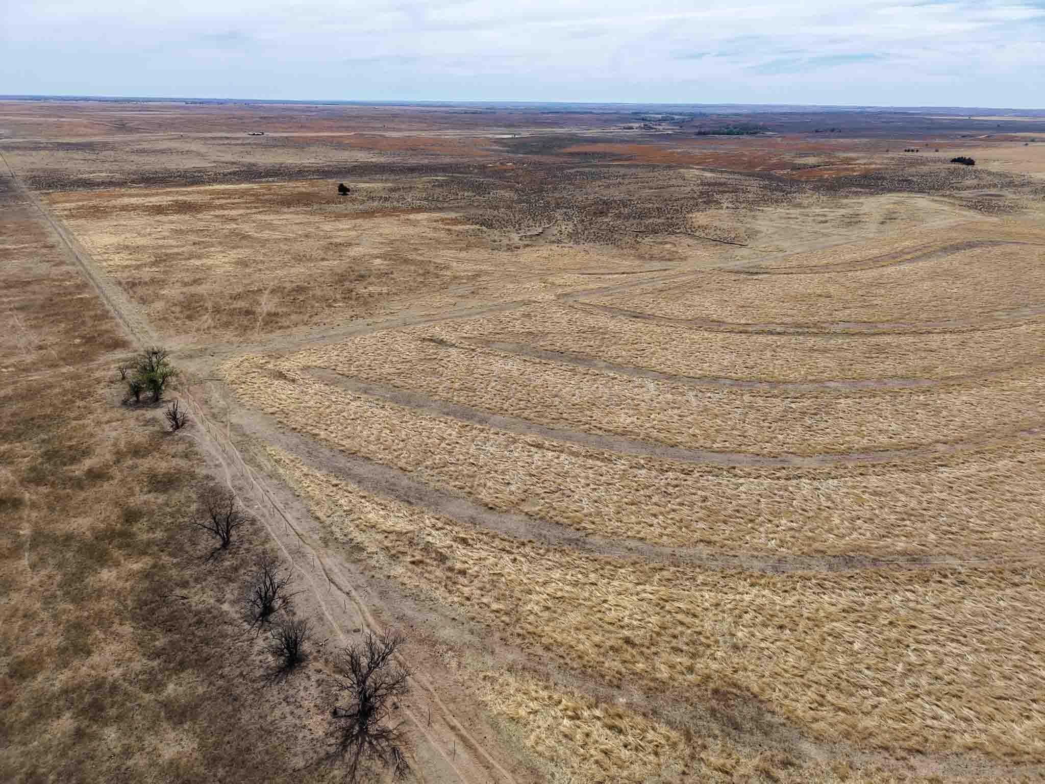 48 Big Sky Ranch Mobeetie, TX 79061 - Photo 33 of 59 Big_Sky_Ranch-34