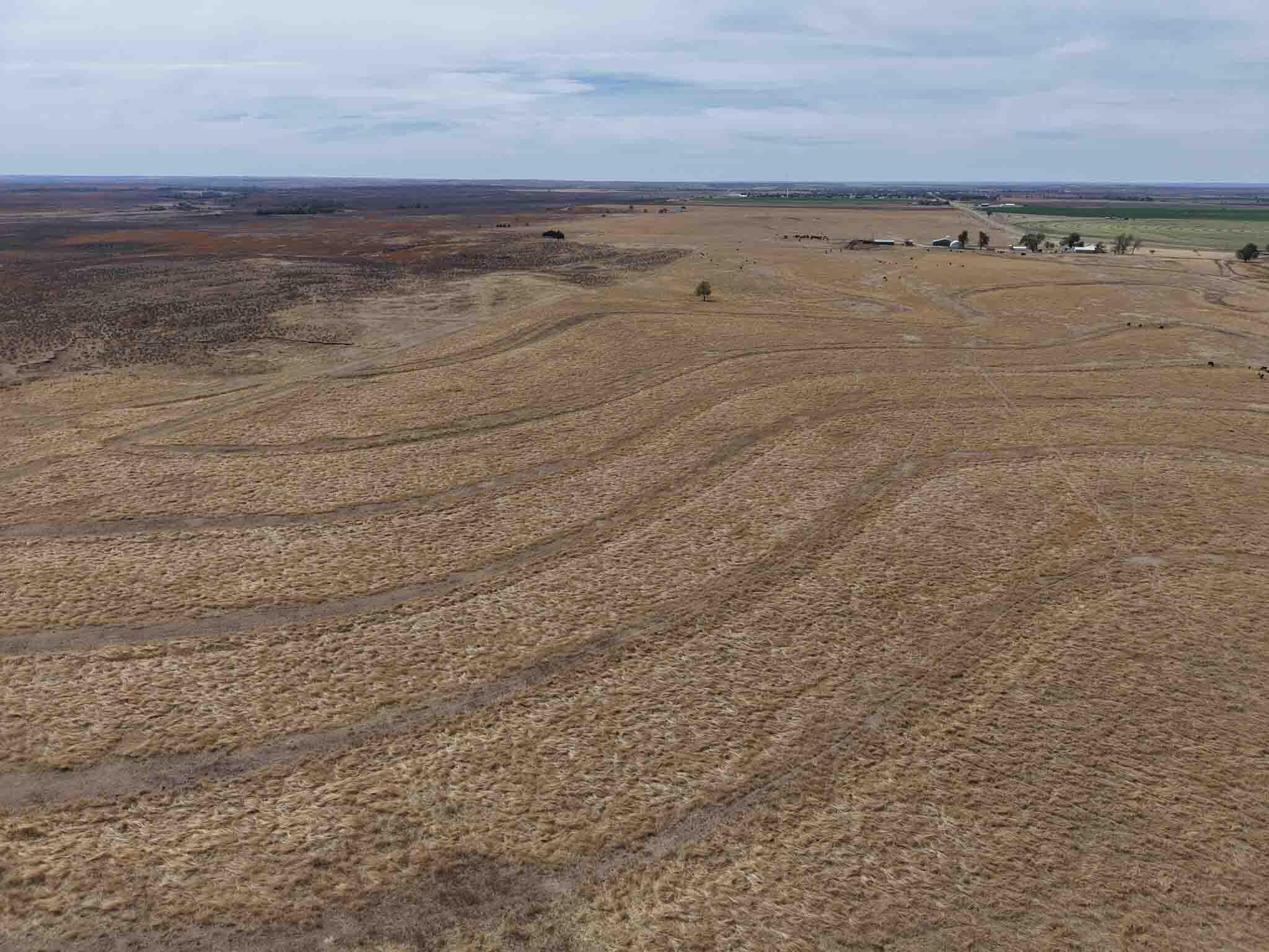 48 Big Sky Ranch Mobeetie, TX 79061 - Photo 34 of 59 Big_Sky_Ranch-35