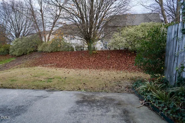a view of dirt yard with a large tree