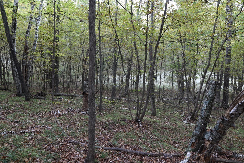 Xxx Normans Landing Road Webster, WI 54893 - Photo 13 of 16