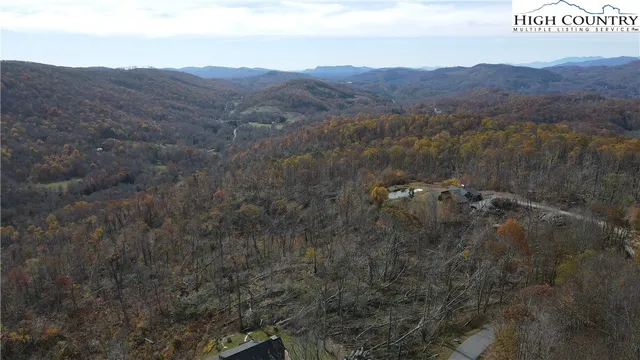 a view of a forest with mountains in the background
