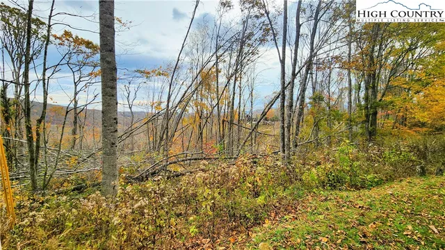 a view of a pathway of a building
