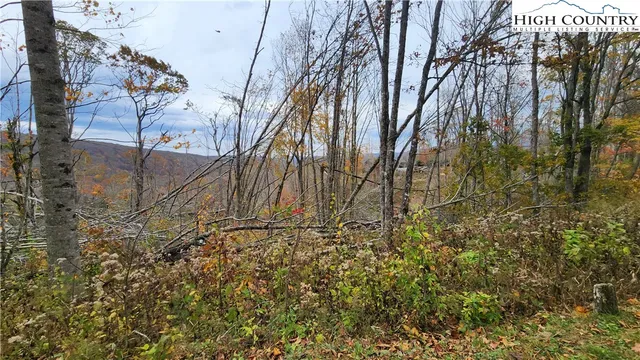 a view of a backyard of the house