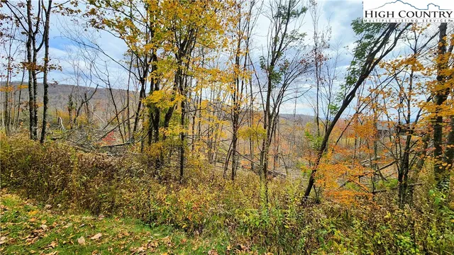 a view of outdoor space with a yard